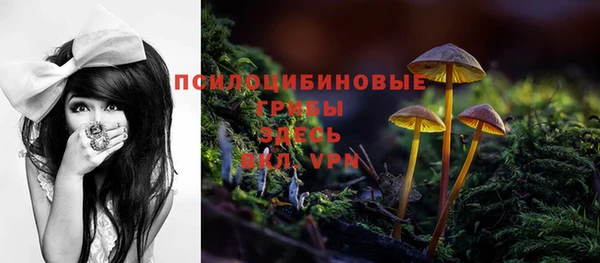 амф Беломорск